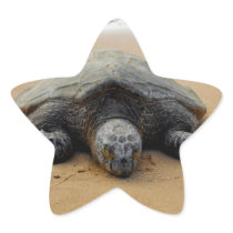 Endangered Sea Turtle Sticker