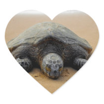 Endangered Sea Turtle Sticker