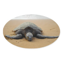 Endangered Sea Turtle Sticker
