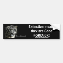 ENDANGERED SNOW LEOPARD  Bumper Stickers