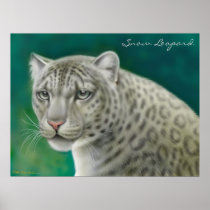 Endangered Snow Leopard