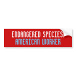 ENDANGERED SPECIES:  American Worker