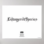 Endangered Species Poster posters