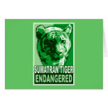 Endangered Sumatran Tiger Pop Art Tshirts cards