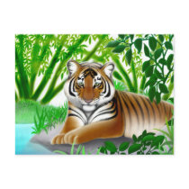 Endangered Sumatran Tiger Postcard