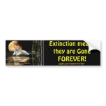 ENDANGERED TIGERS  Bumper Sticker Series bumper stickers