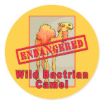 Endangered Wild Bactrian Camel Tshirts stickers