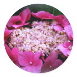Endless Circle Of Hydrangeas Sticker