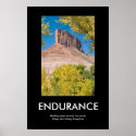ENDURANCE posters