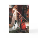 Engilsh Springer 7 - The Accolade cards