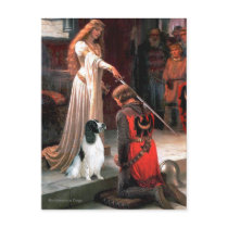 Engilsh Springer 7 - The Accolade Postcard