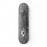 engish BULLY bulldog Skate Board Decks