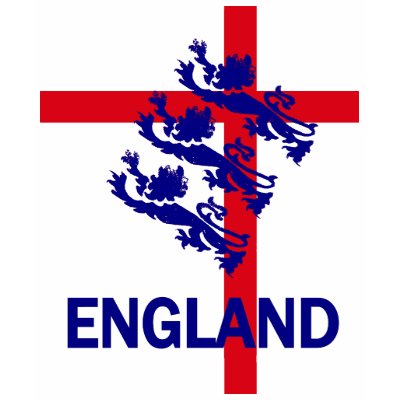 England Football 2010 T Shirt
