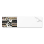 England The London Buckingham Palace Road Lion 198 bumper stickers