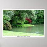 Englischer Gardens Poster