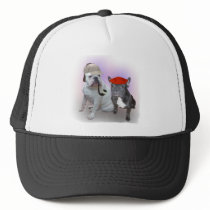 English and French bulldogs