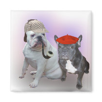 English and French bulldogs