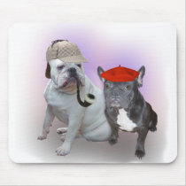 English and French bulldogs