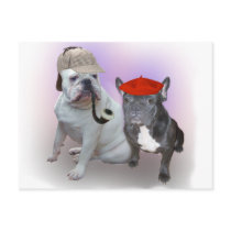 English and French bulldogs