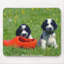 English Blue Roan Cocker Spaniel Puppies mousepads
