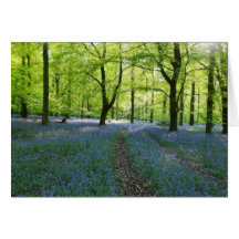English Bluebells Greeting Cards