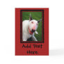English Bull Terrier