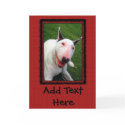 English Bull Terrier cards