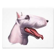 English Bull Terrier Caricature Photo Print