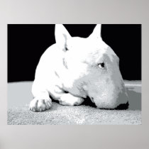 English Bull Terrier, Pop Art Print