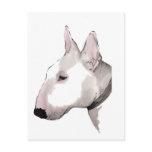 english bull terrier postcard
