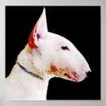 English bull terrier poster posters