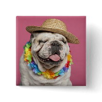 English Bulldog (18 months old) wearing a straw Pins