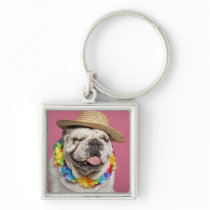 English Bulldog (18 months old) wearing a straw Keychain