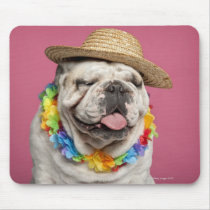 English Bulldog (18 months old) wearing a straw Mousepad
