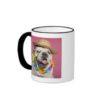 English Bulldog (18 months old) wearing a straw Coffee Mugs