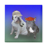 English bulldog and French bulldog magnets