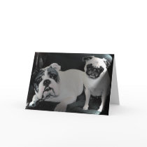 English Bulldog and Pug Greeting Card