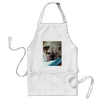 English Bulldog