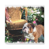 English Bulldog Art Gifts Refrigerator Magnets