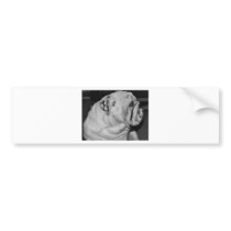English Bulldog Bumper Sticker
