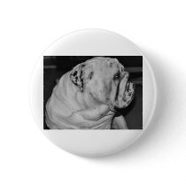 English Bulldog Pin
