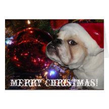 English Bulldog Christmas Cards