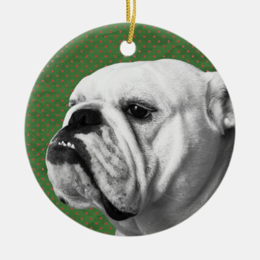 English Bulldog Zazzle