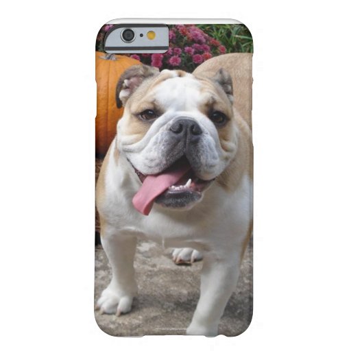 English Bulldog Iphone Case English Bulldog Iphone Case