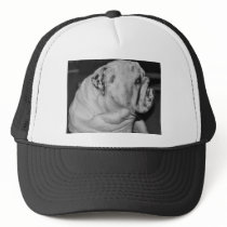 English Bulldog Hats