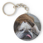 English bulldog keychains