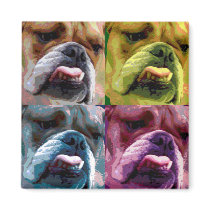 English bulldog refrigerator magnet