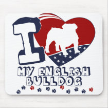 English Bulldog