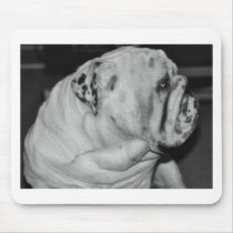 English Bulldog Mouse Pads