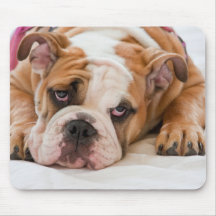 English Bulldog Mousepad